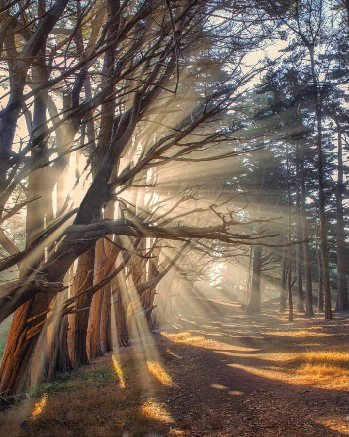 Miramar Beach Home Walk To Beach Trails Restaurants Family Activities Half Moon Bay Luaran gambar